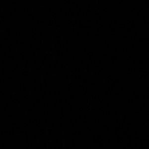 Meet your Posher, Amada